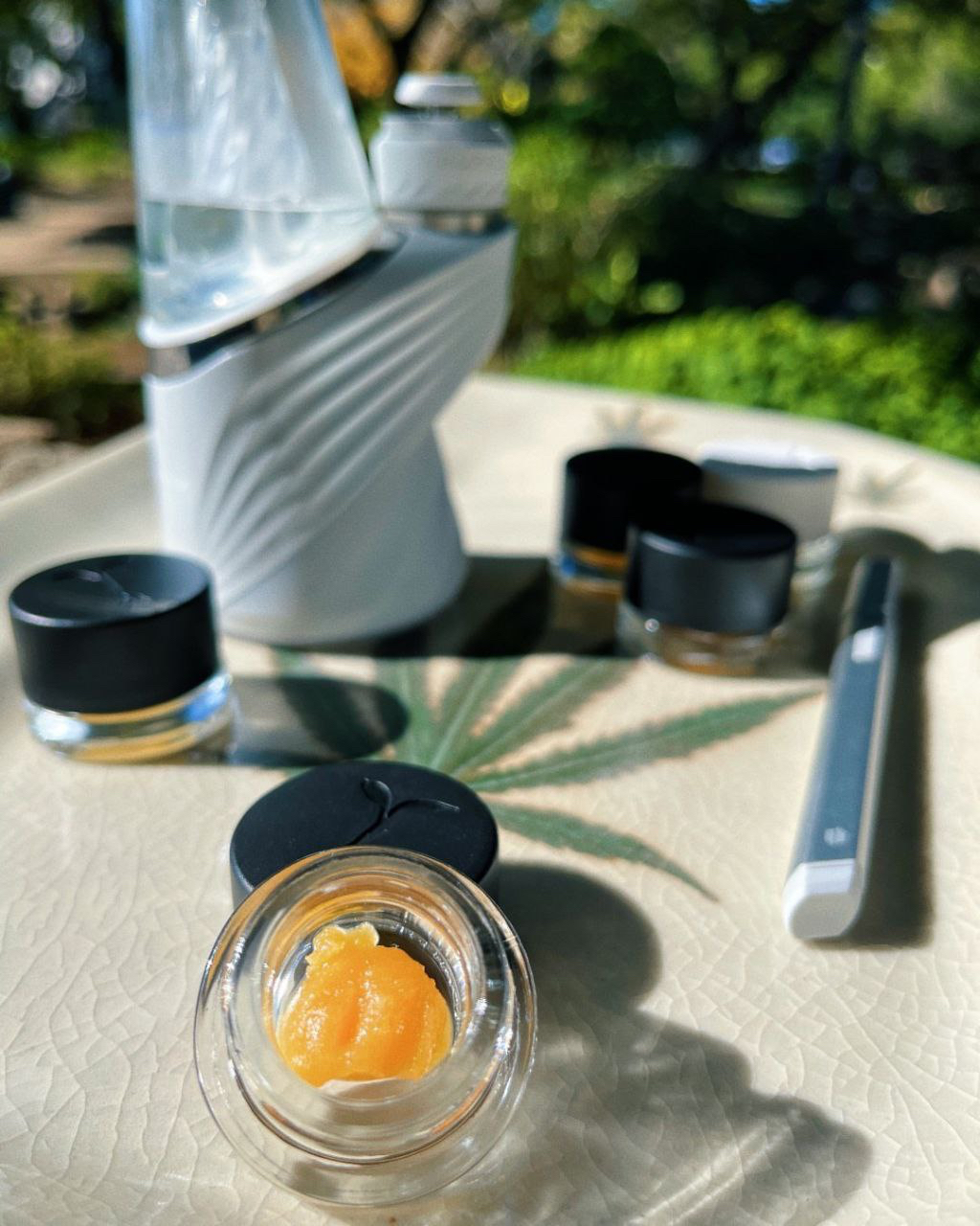 Raw Garden Live Rosin