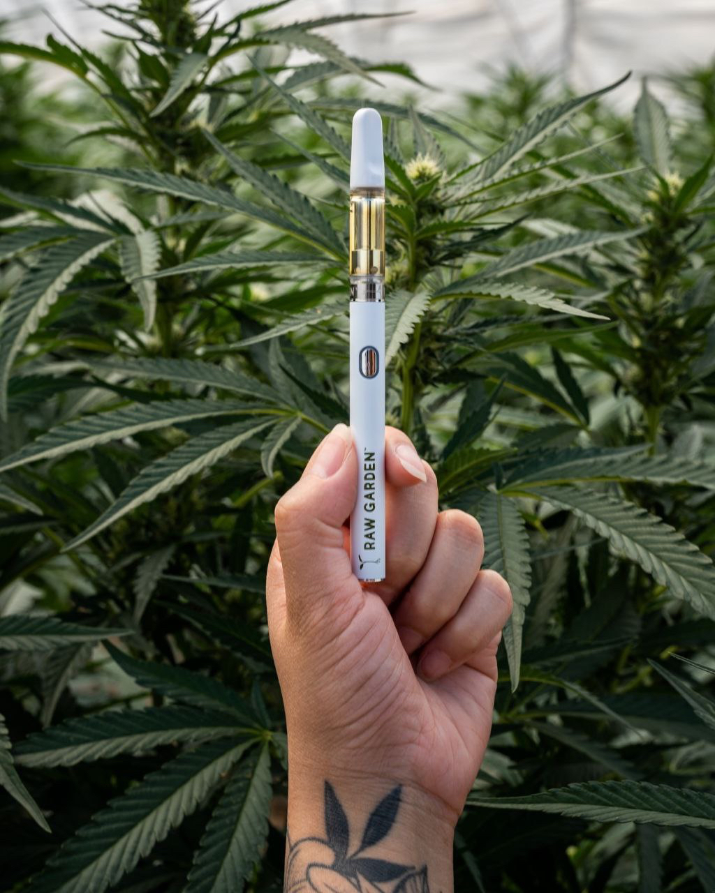 Refined Live Resin Cartridges