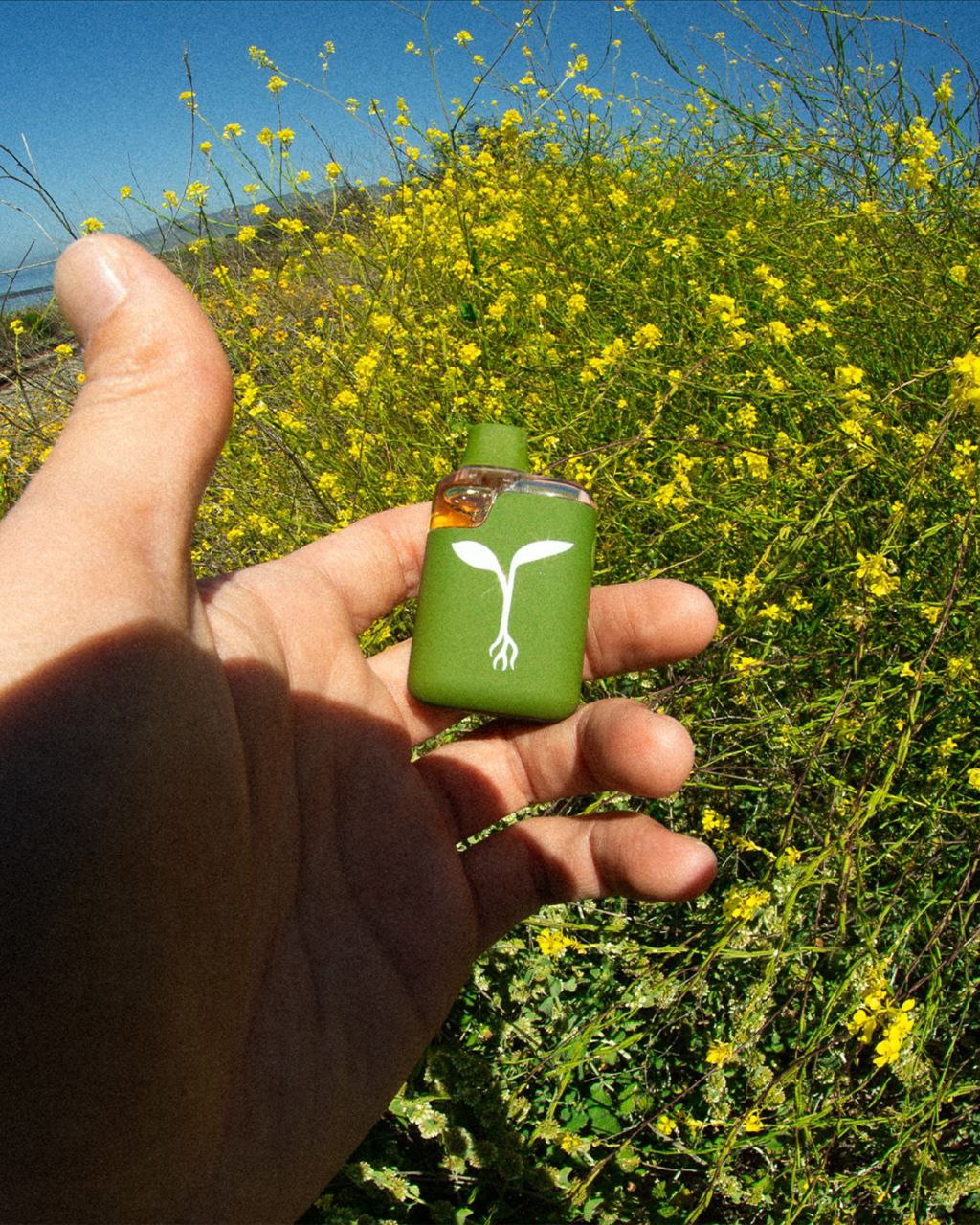 Raw Garden Sauce Cart